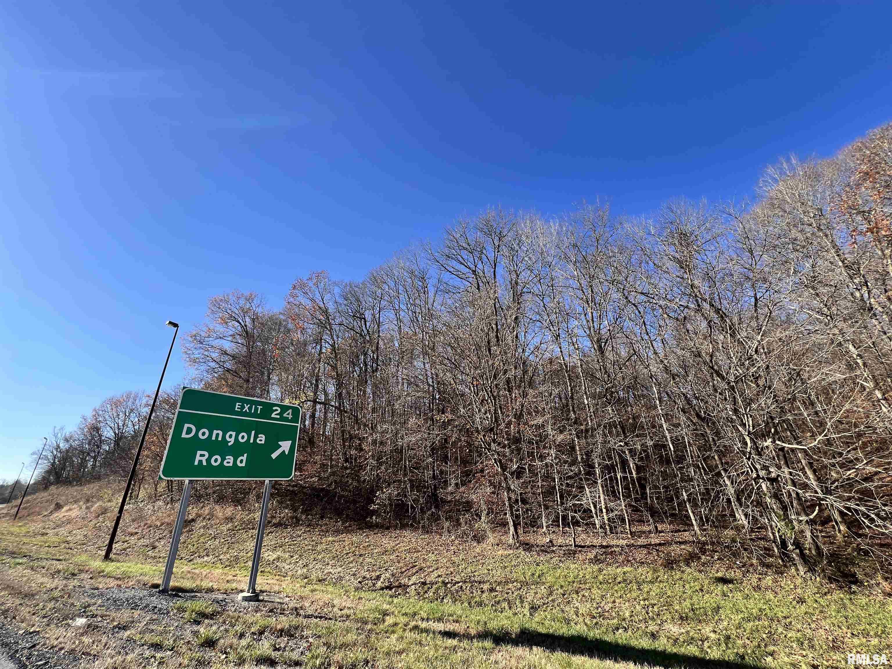 001 Us Hwy 51 Road, Dongola, Illinois image 3