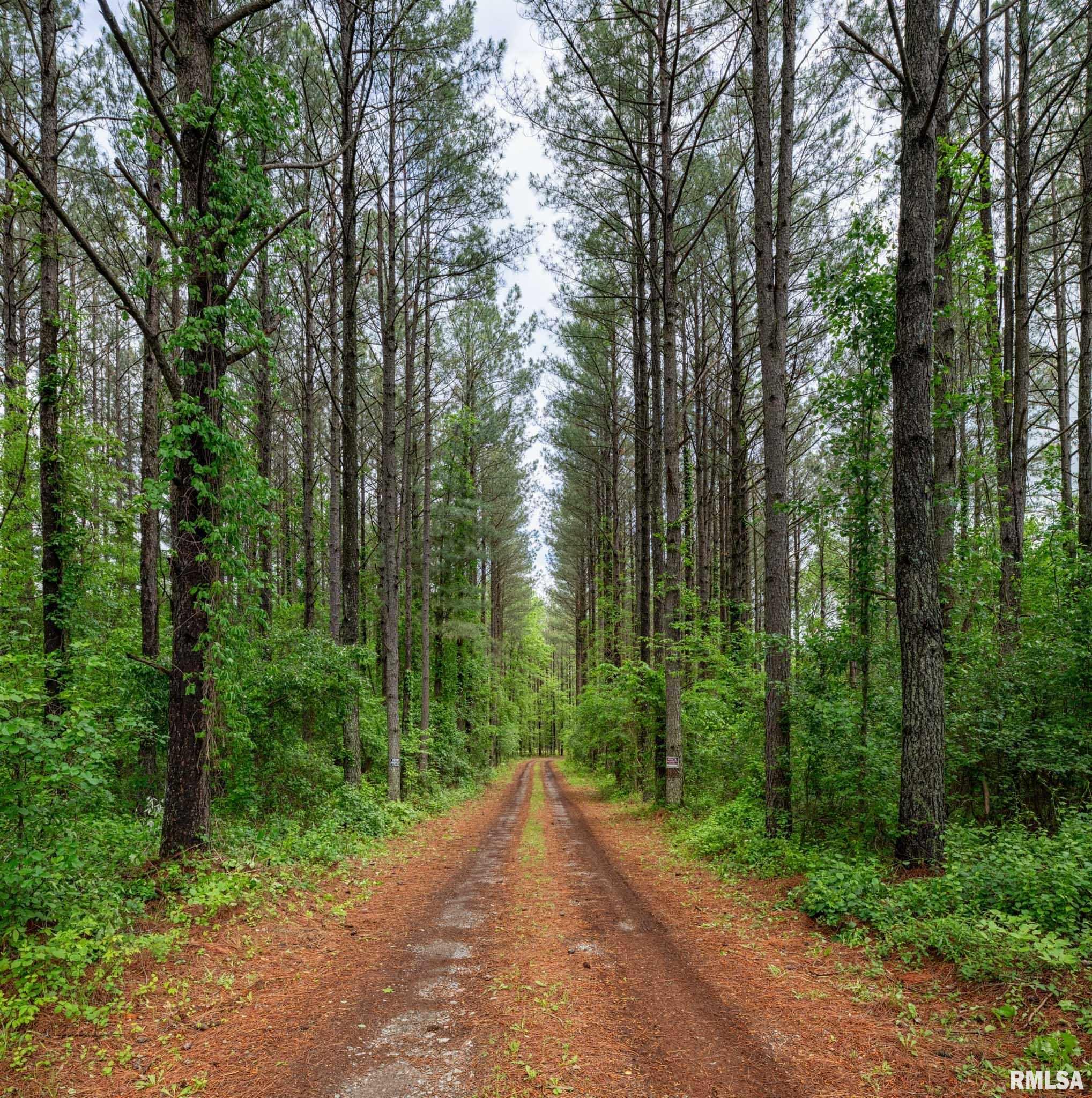 3972 Baptist Camp Road, Carterville, Illinois image 34