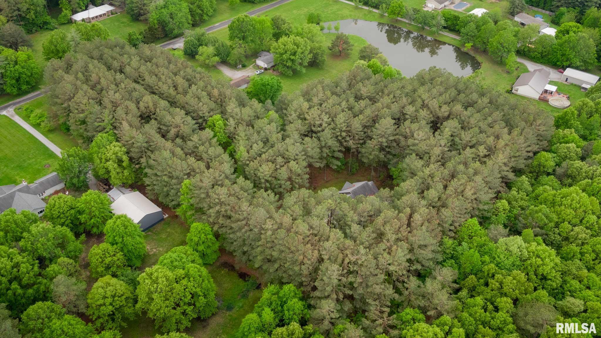 3972 Baptist Camp Road, Carterville, Illinois image 36
