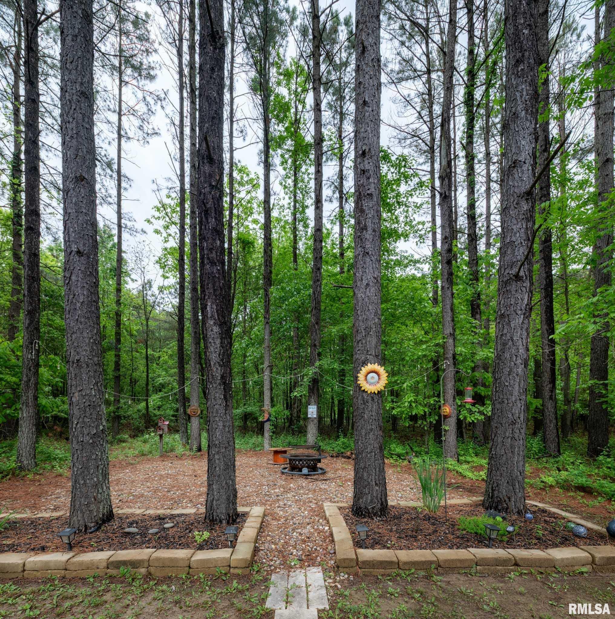 3972 Baptist Camp Road, Carterville, Illinois image 33