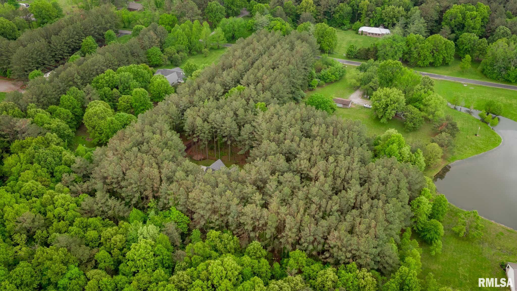 3972 Baptist Camp Road, Carterville, Illinois image 31