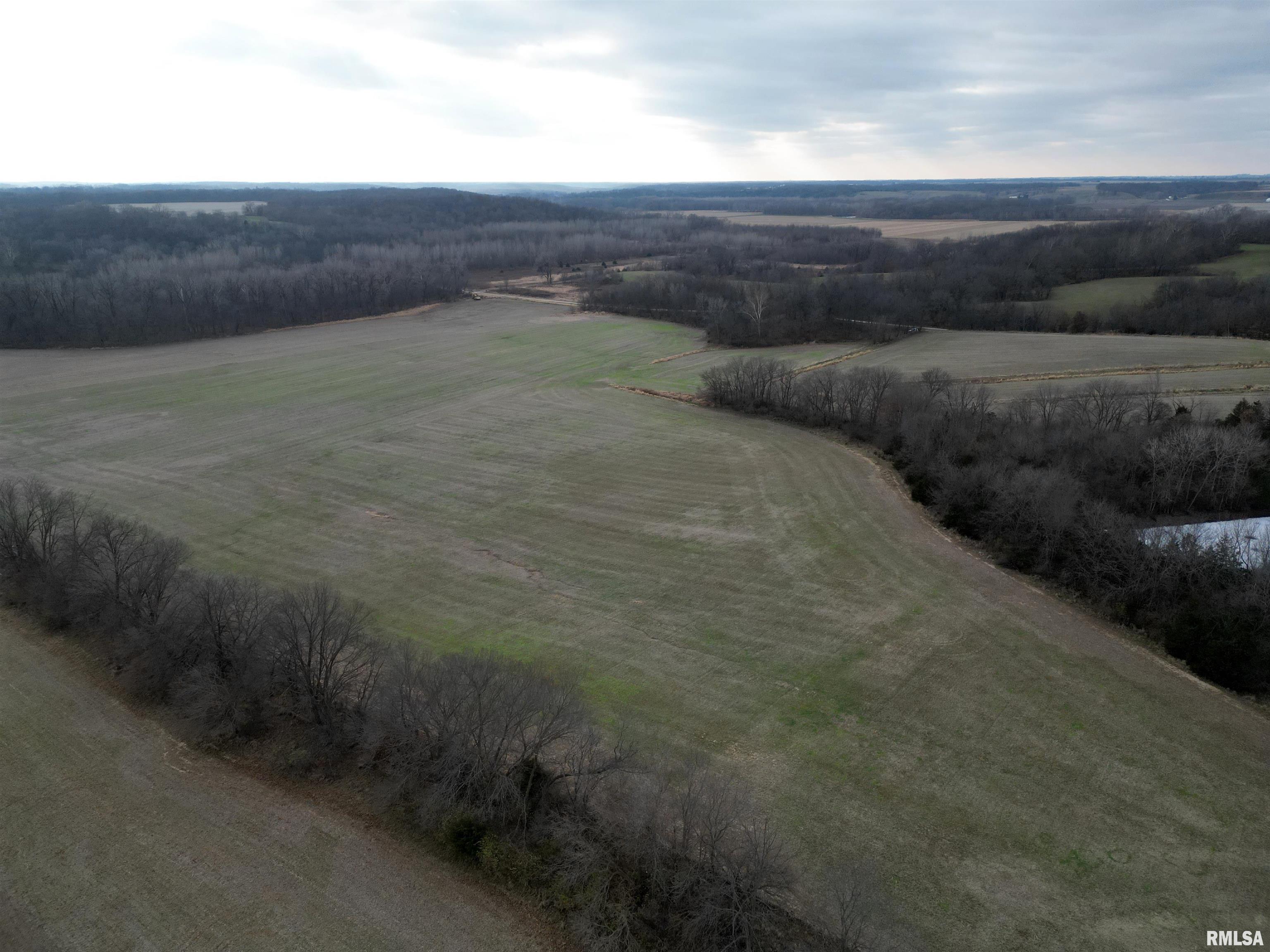 31851 N Young Road, London Mills, Illinois image 9