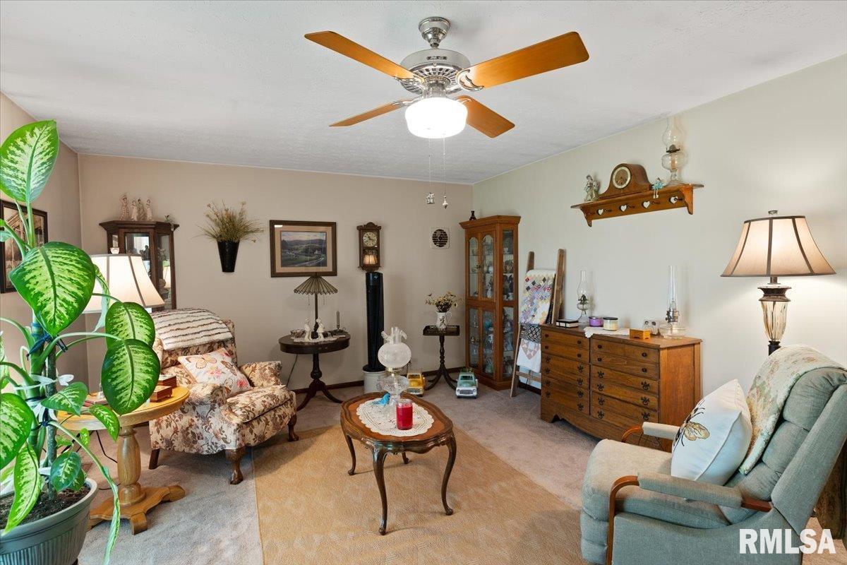 500 S Fly Street, Goreville, Illinois image 9