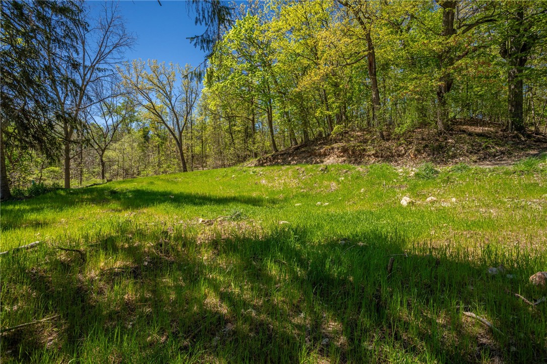 31 Mandolin Ridge, Chautauqua, New York image 9