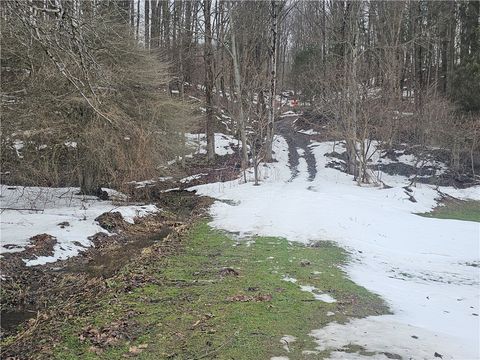 Photo of Bates Road, Ellington, NY 14732 (MLS # R1658504)