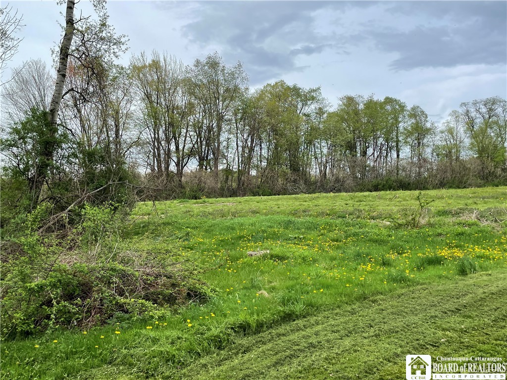 12296 Gulf Road, Leon, New York image 47
