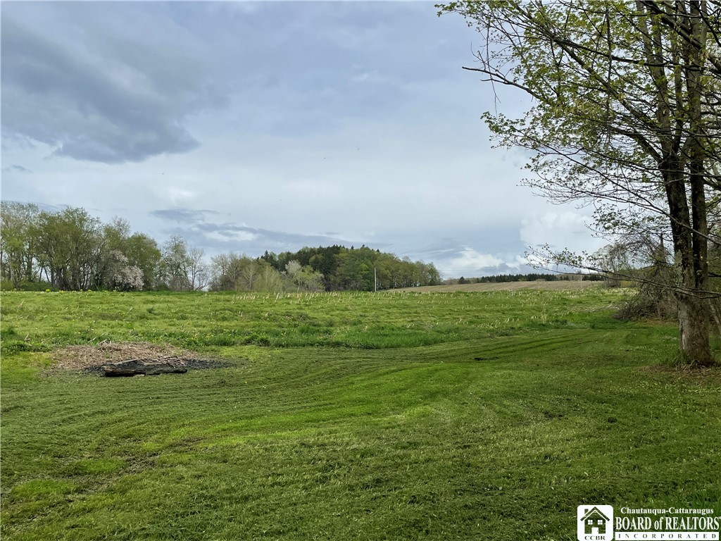 12296 Gulf Road, Leon, New York image 46