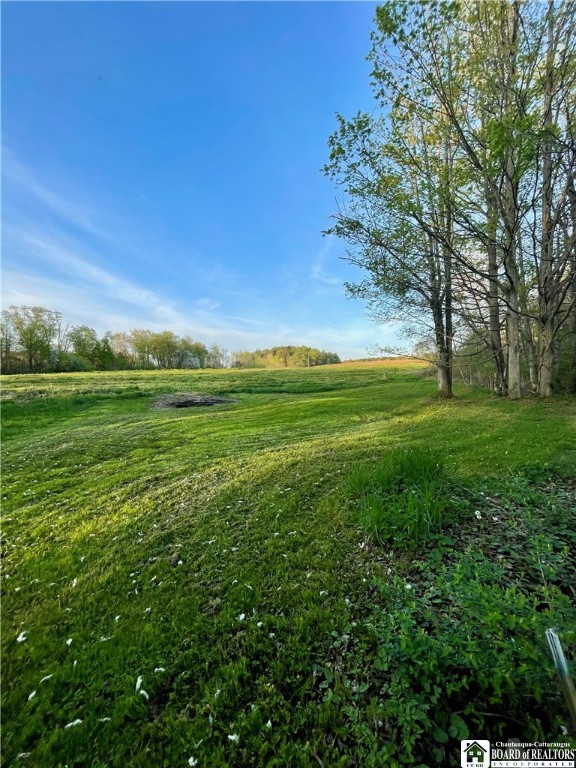 12296 Gulf Road, Leon, New York image 13