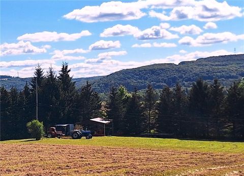 Vacant Land For Sale - Rt-21 St<br/> Steuben County, Wayland, NY 14572