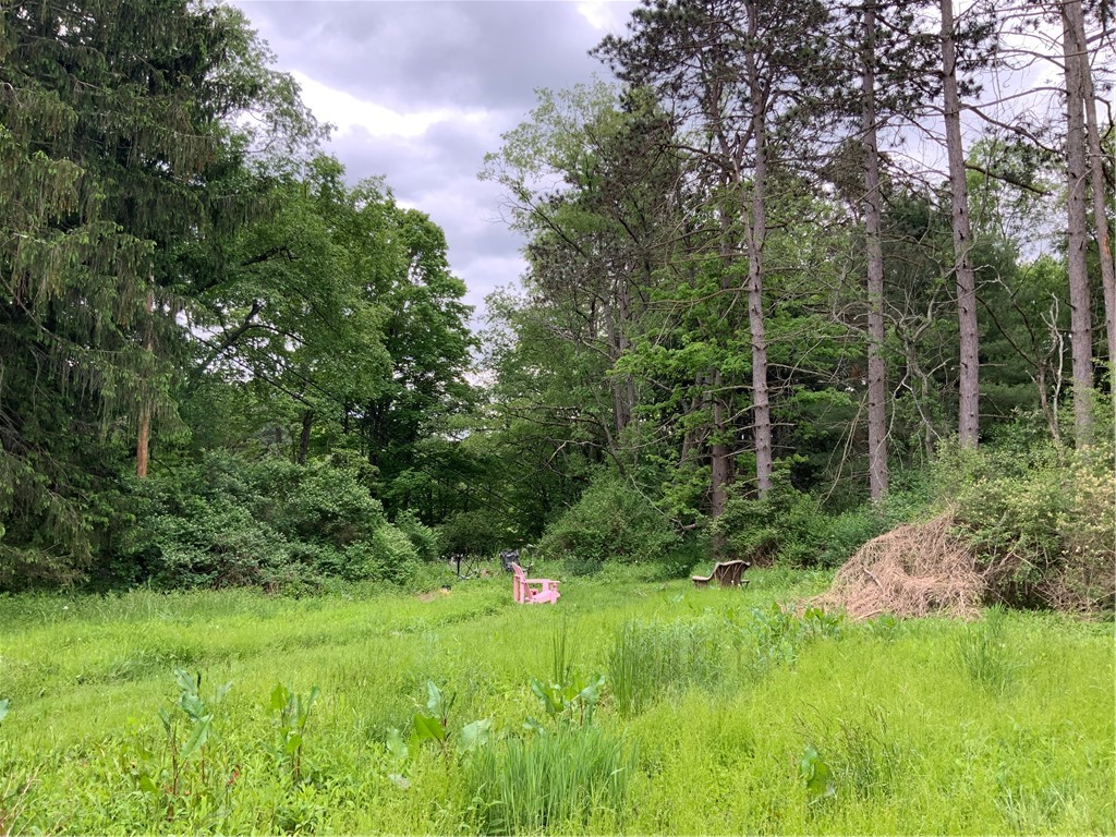 33 Hardy Hill Road, Andover, New York image 4