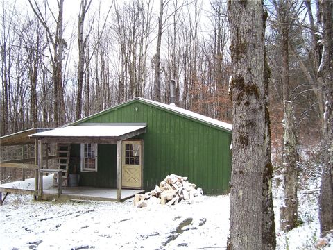 Homes For Sale - Waldon Road<br/> Mc Donough, NY 13801