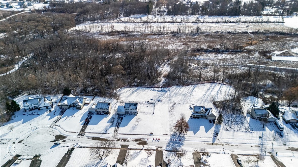363 buttonwood drive