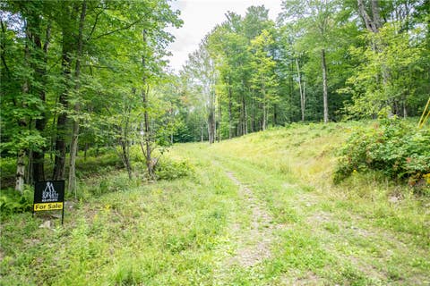 Vacant Land For Sale - LOT 8 Beaver Creek Hollow Road<br/> Andes, NY 13752