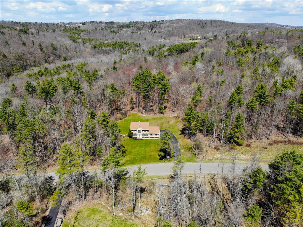 11827 Lando Lane, Corning, New York image 45