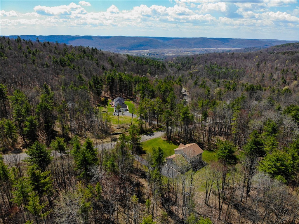 11827 Lando Lane, Corning, New York image 46