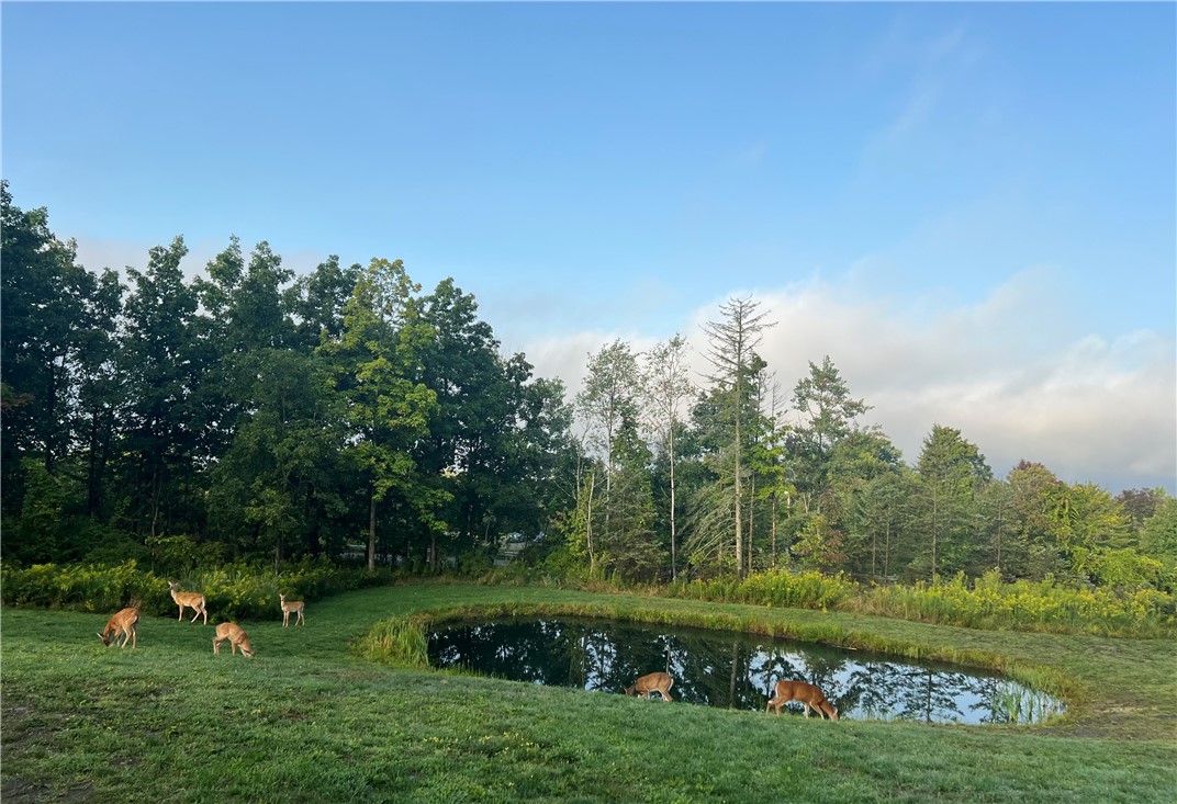 2402 County Rd 7