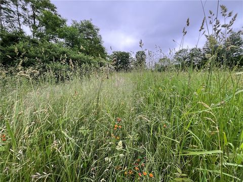 Tiny photo for 326 Park Hill Road, Erin, NY 14838 (MLS # R1684744)