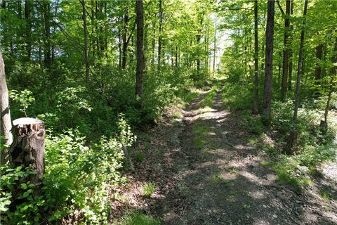 Tiny photo for 326 Park Hill Road, Erin, NY 14838 (MLS # R1684744)