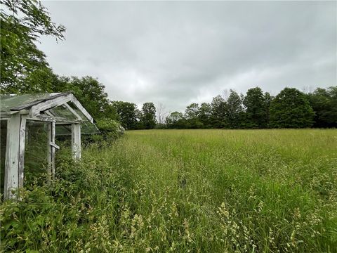 Tiny photo for 326 Park Hill Road, Erin, NY 14838 (MLS # R1684744)
