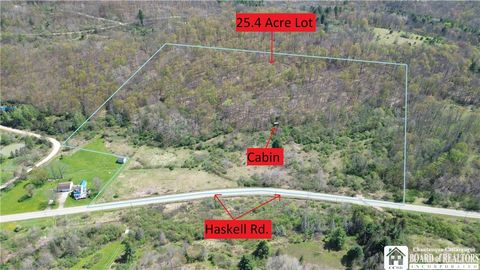 Vacant Land For Sale - Co Rd 6 Aka Haskell Rd.<br/> Clarksville, NY 12041