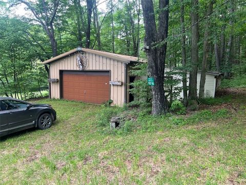Vacant Land For Sale - 136 Arbuckle Hollow Road<br/> Delaware County, Delhi, NY 13752