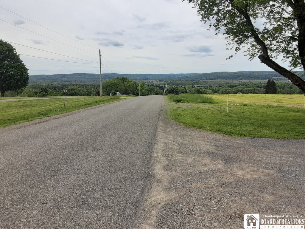 9165 Hebner Hill Road, Otto, New York image 6
