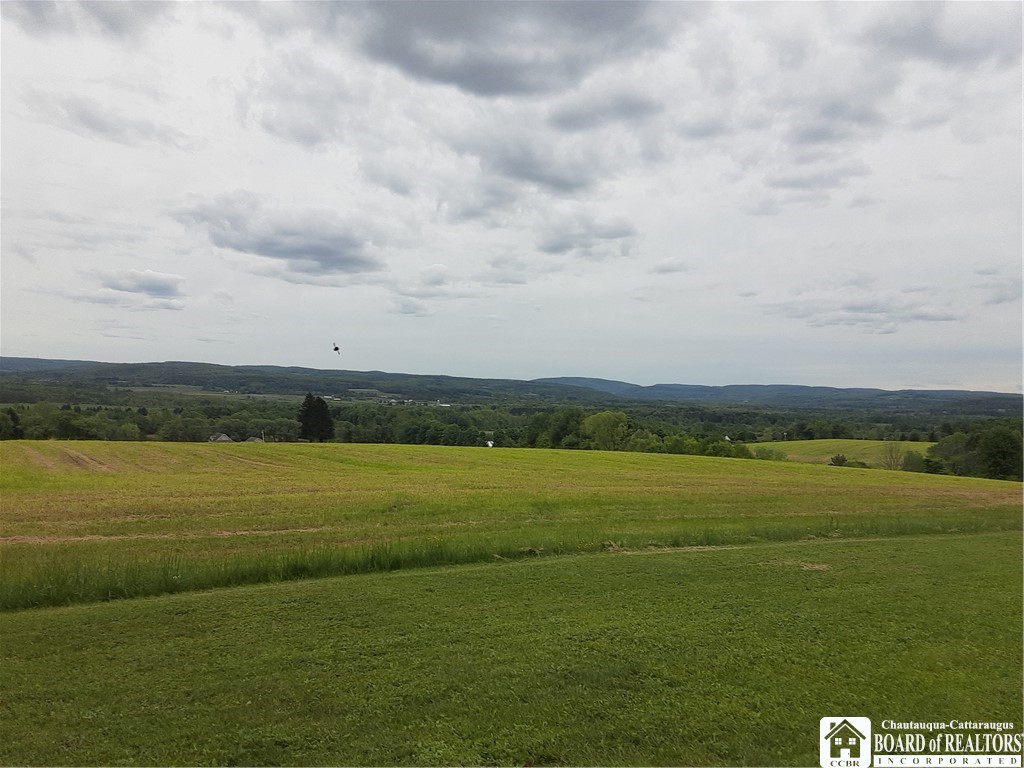 9165 Hebner Hill Road, Otto, New York image 4