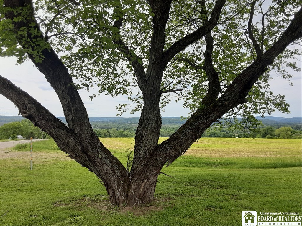 9165 Hebner Hill Road, Otto, New York image 8