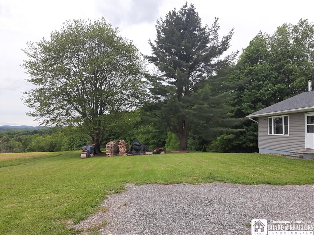 9165 Hebner Hill Road, Otto, New York image 3