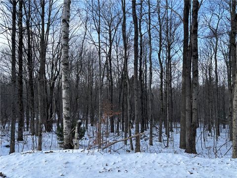 Vacant Land For Sale - Smokey Avenue<br/> Westford, NY 12155