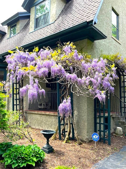 393 Westminster Road, Rochester, New York image 42