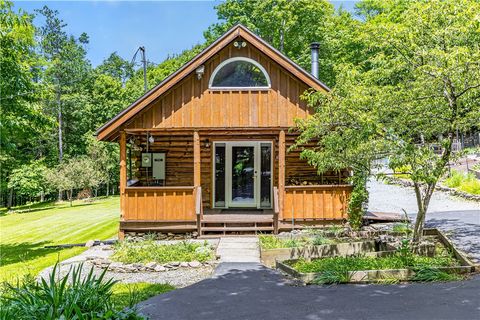 Homes For Sale - 7681 Dutch Hollow Road<br/> Springwater, NY 14572