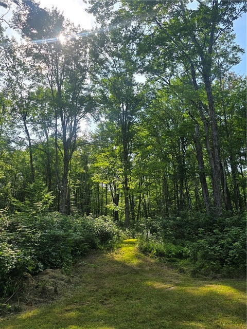 Tiny photo for 635 Balsam Tyler Road, Pharsalia, NY 13801 (MLS # R1702575)