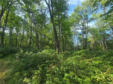 Tiny photo for 635 Balsam Tyler Road, Pharsalia, NY 13801 (MLS # R1702575)