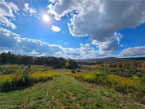 Photo for Bailey Hill Road
