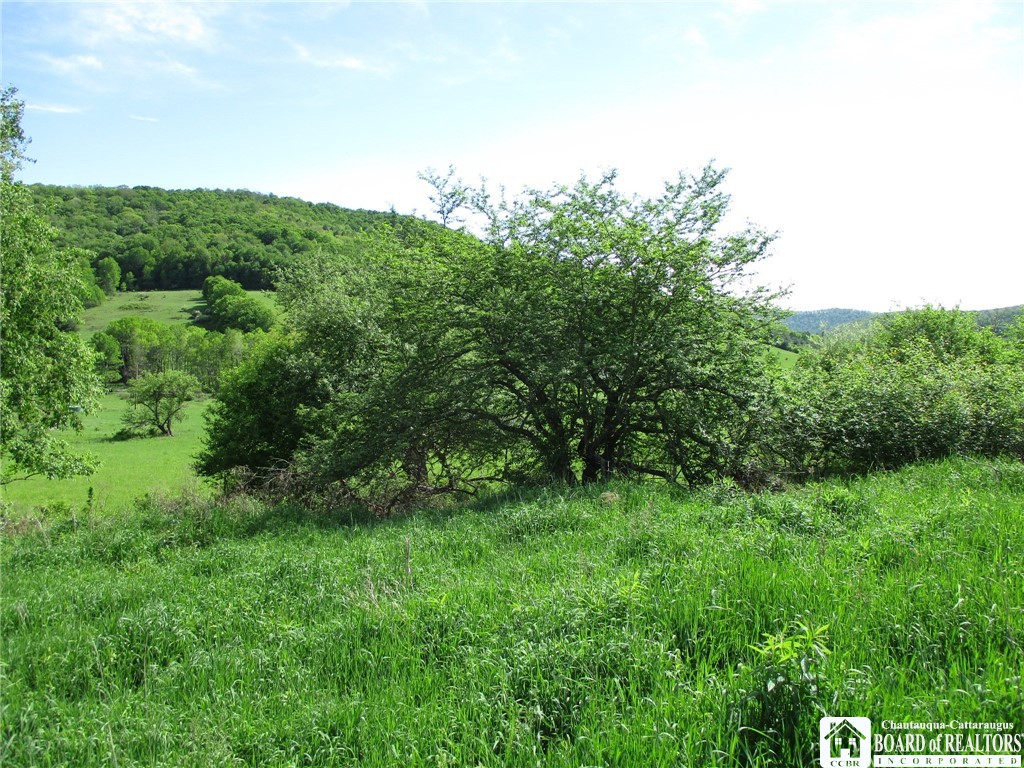 Horse Run Rd, Bolivar, New York image 5