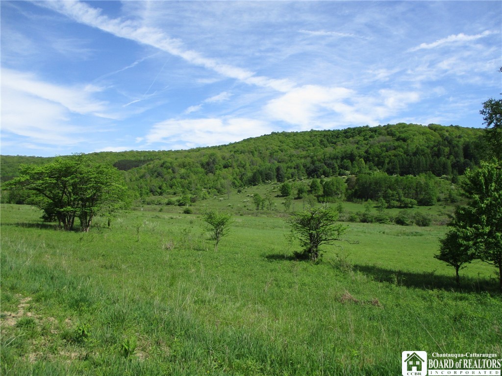Horse Run Rd, Bolivar, New York image 2