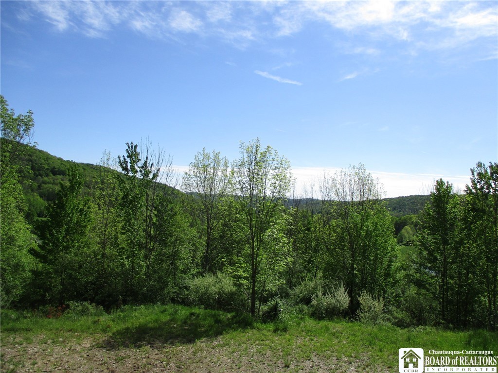 Horse Run Rd, Bolivar, New York image 7
