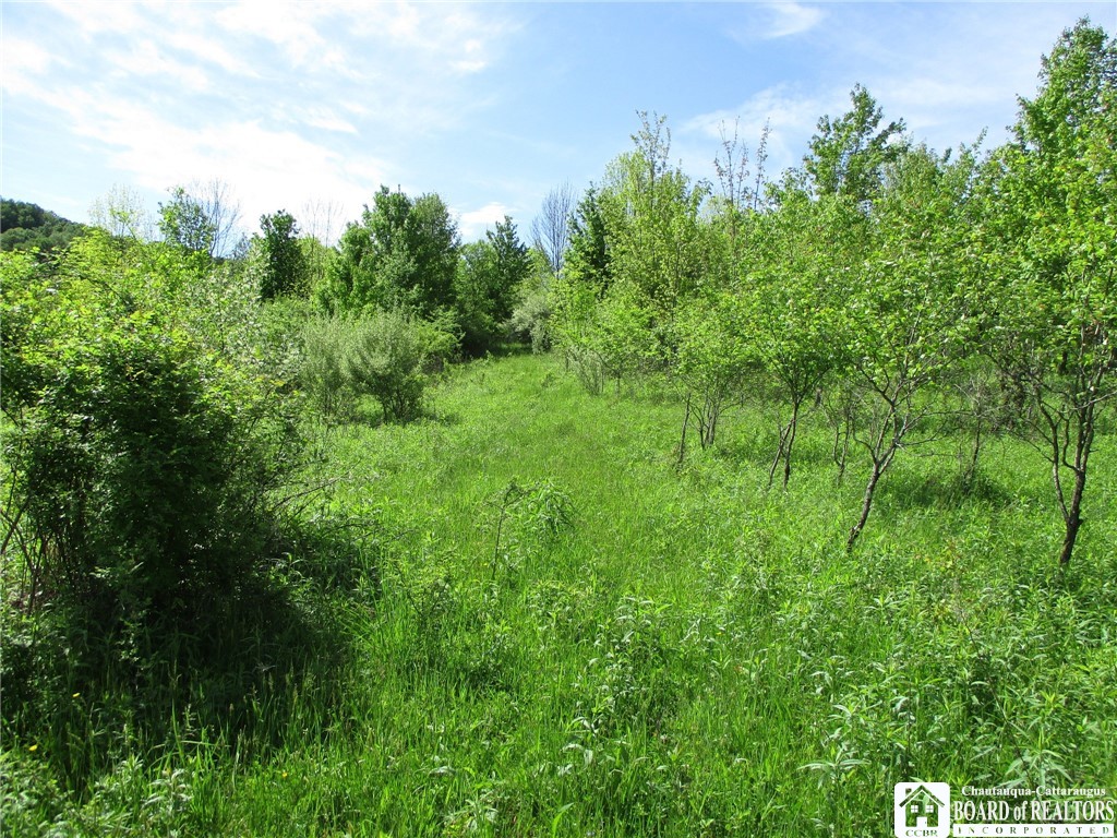 Horse Run Rd, Bolivar, New York image 6