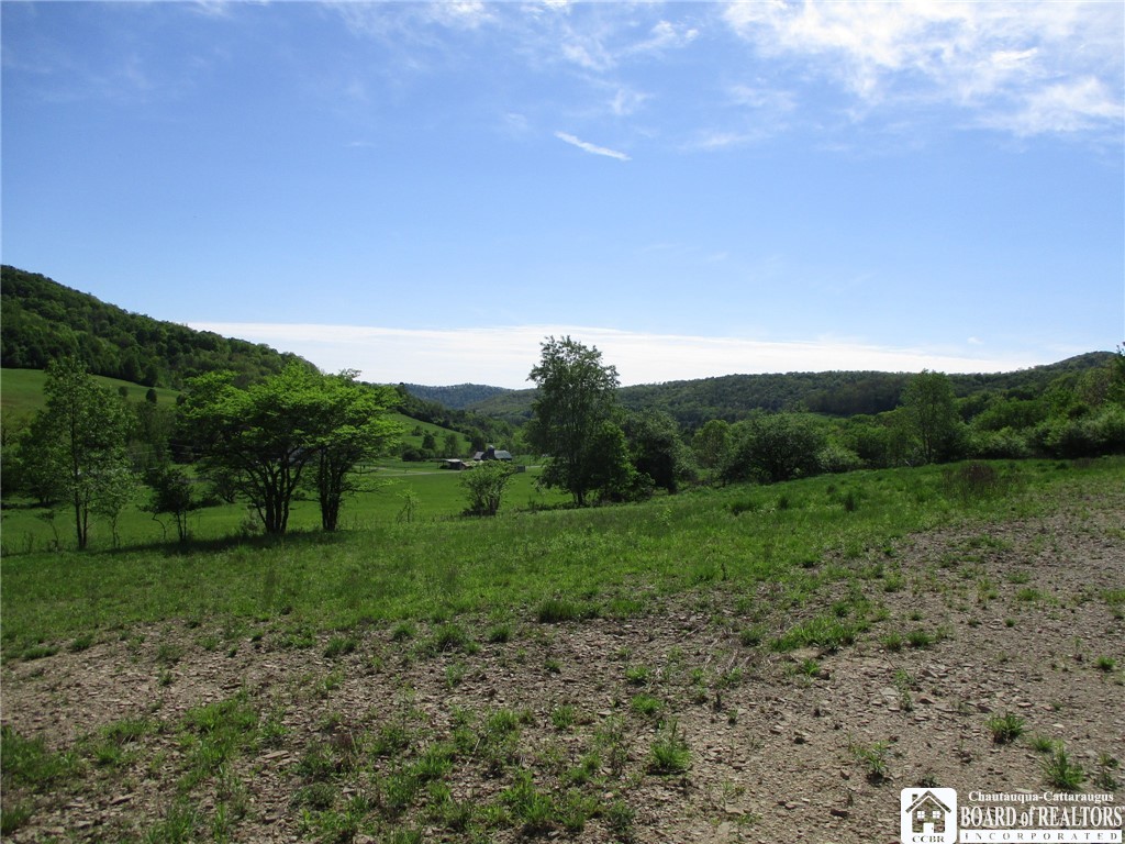Horse Run Rd, Bolivar, New York image 1