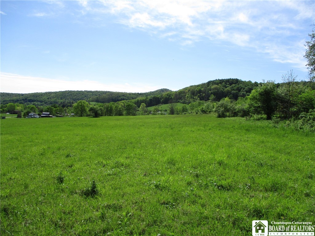 Horse Run Rd, Bolivar, New York image 3