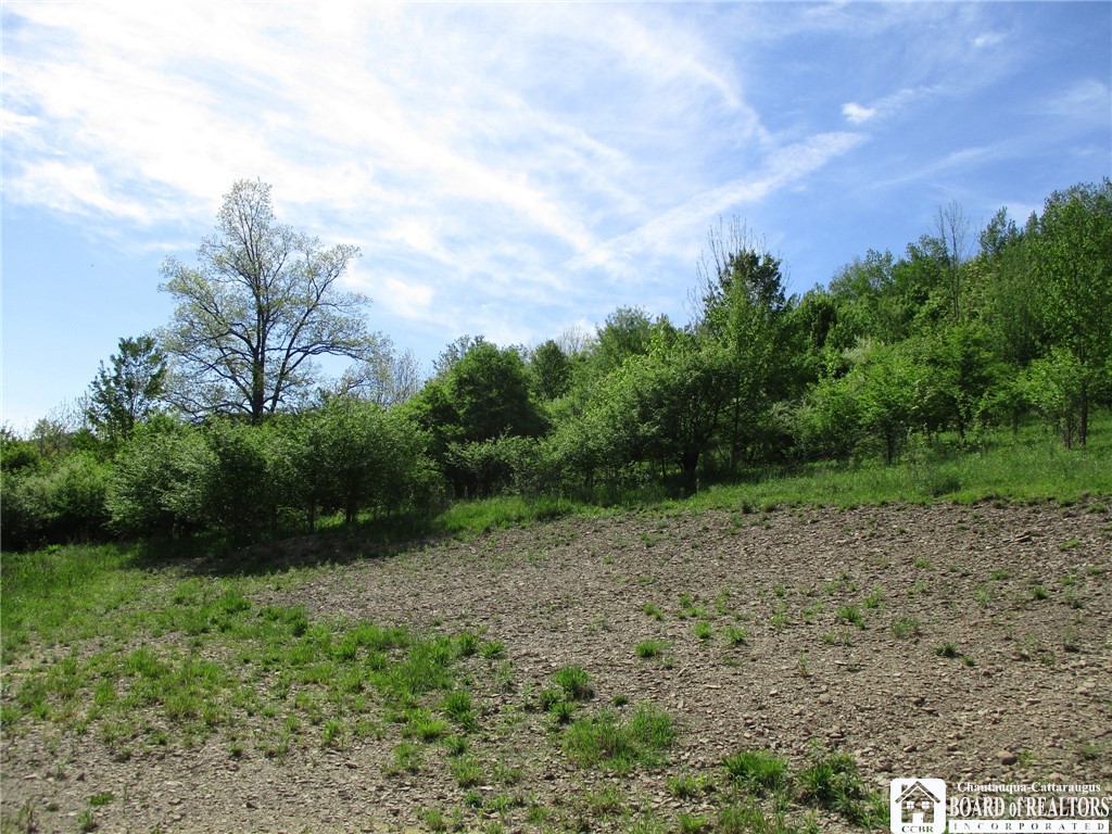 Horse Run Rd, Bolivar, New York image 4
