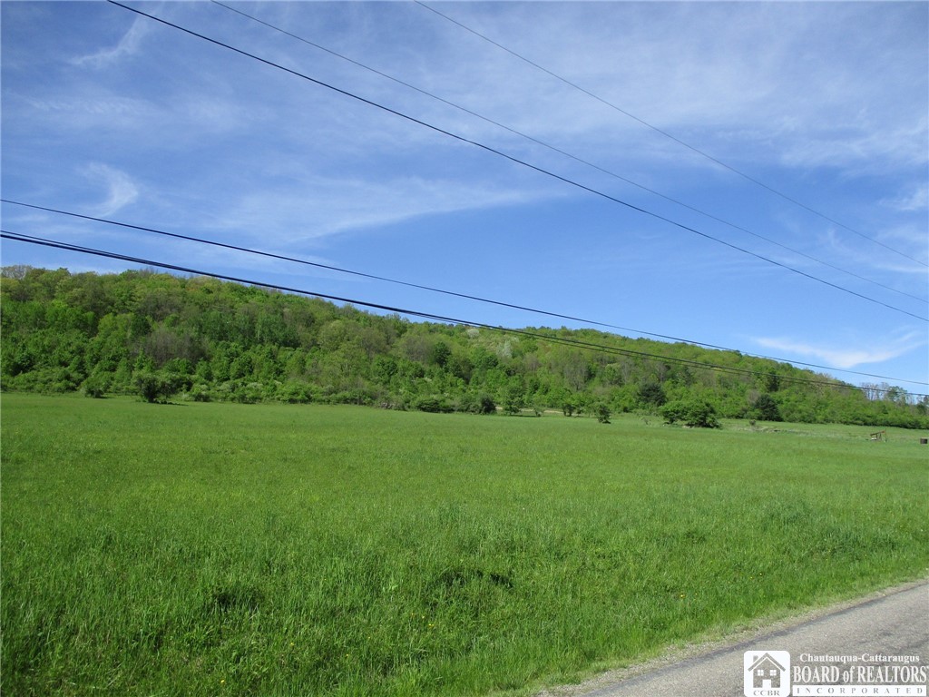 Horse Run Rd, Bolivar, New York image 9