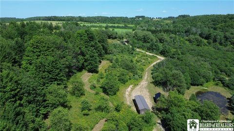 Vacant Land For Sale - 1868 Hess Road<br/> Andover, NY 14806