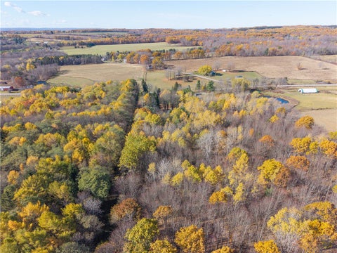 Photo for 8387 Carney Hollow Road