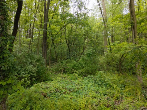 Vacant Land For Sale - Butler Avenue<br/> Seneca Falls, NY 13148