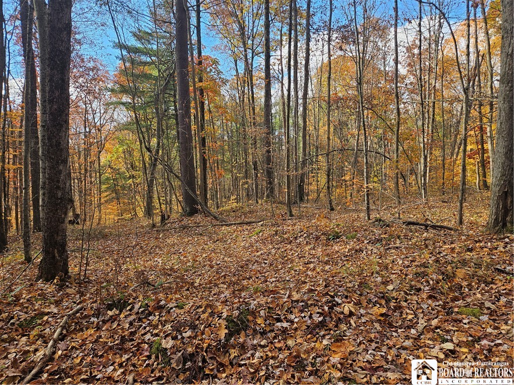 38 Mandolin Ridge, Chautauqua, New York image 9