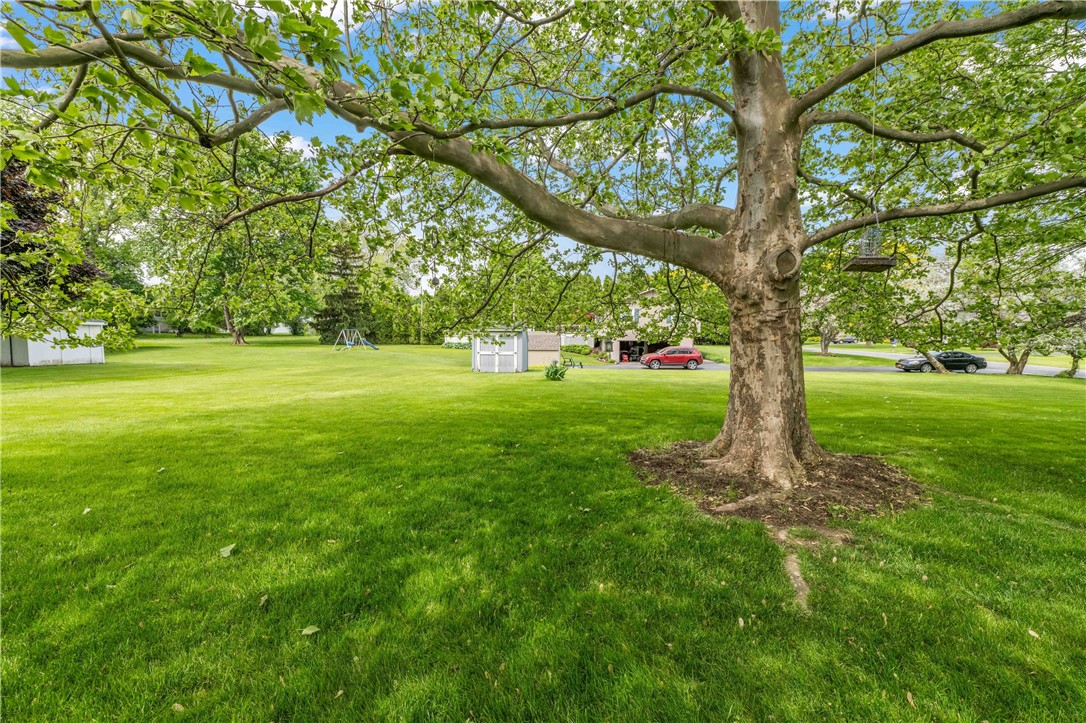 1101 Five Mile Line Road, Webster, New York image 46