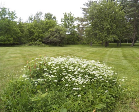 Tiny photo for 6720 Rice Road RD, East Bloomfield, NY 14564 (MLS # R1690388)