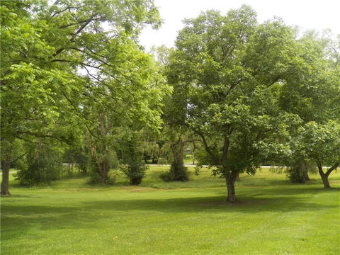 Tiny photo for 6720 Rice Road RD, East Bloomfield, NY 14564 (MLS # R1690388)